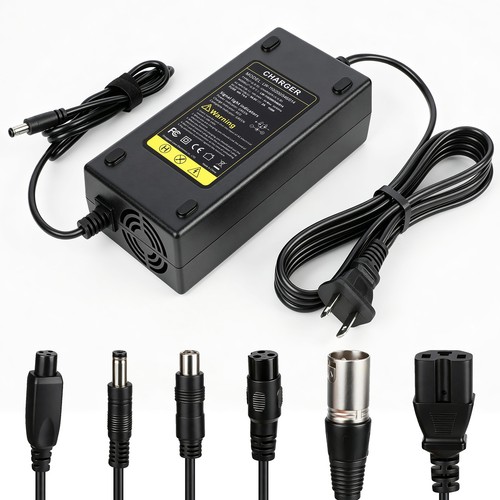 New fast charger for - 54.6v,